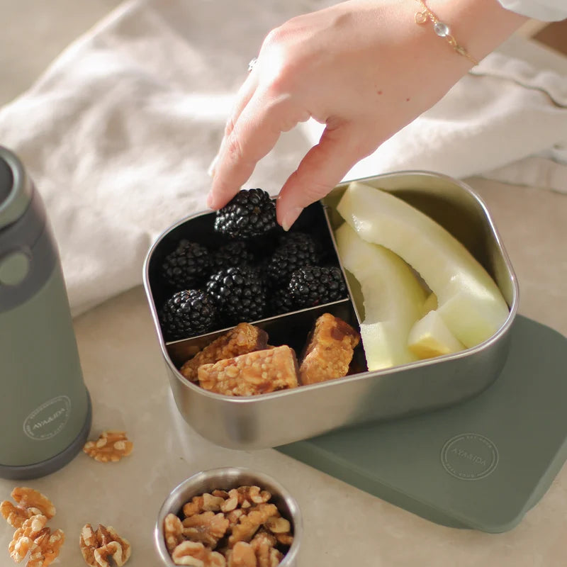 Lunch Box 900ML / Tropical Green