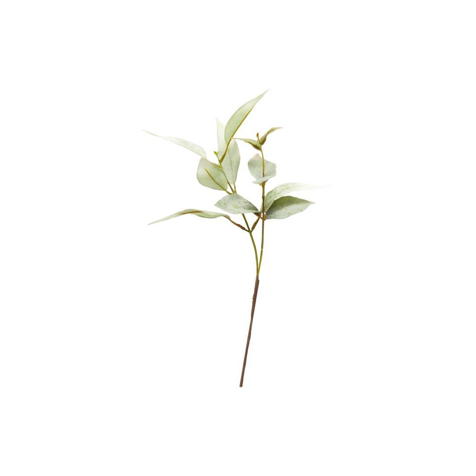 Eukalyptus / Grøn / stilk 38 cm