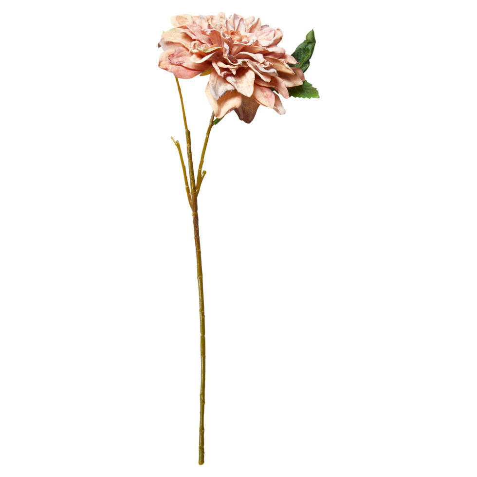 Georgine / Dusty / stilk 45 cm