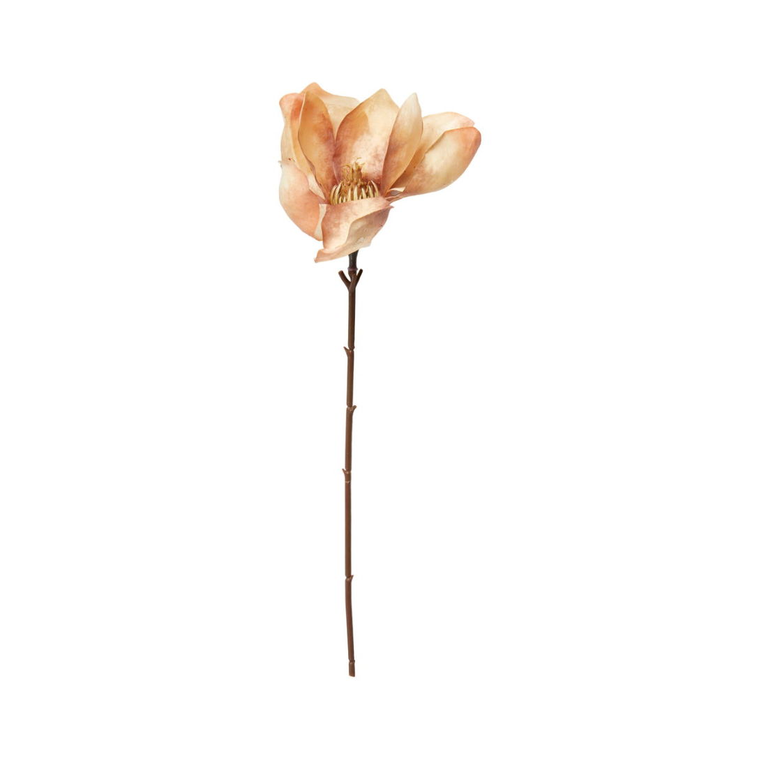 Magnolia / Beige / stilk 50cm