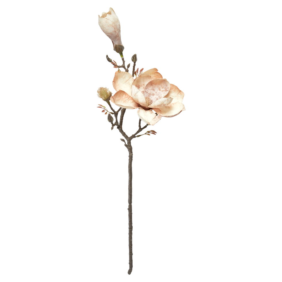 Magnolia / Rose / stilk 58 cm