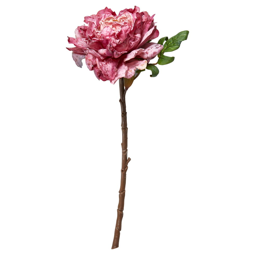 Pæon / Pink / Stilk 42 cm