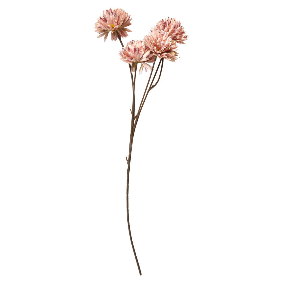 Krysantemum / Rose / stilk 53 cm