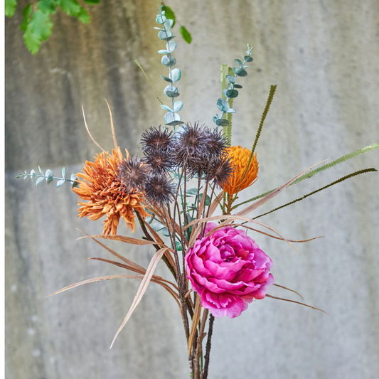 Krysantemum / Burned / stilk 75 cm