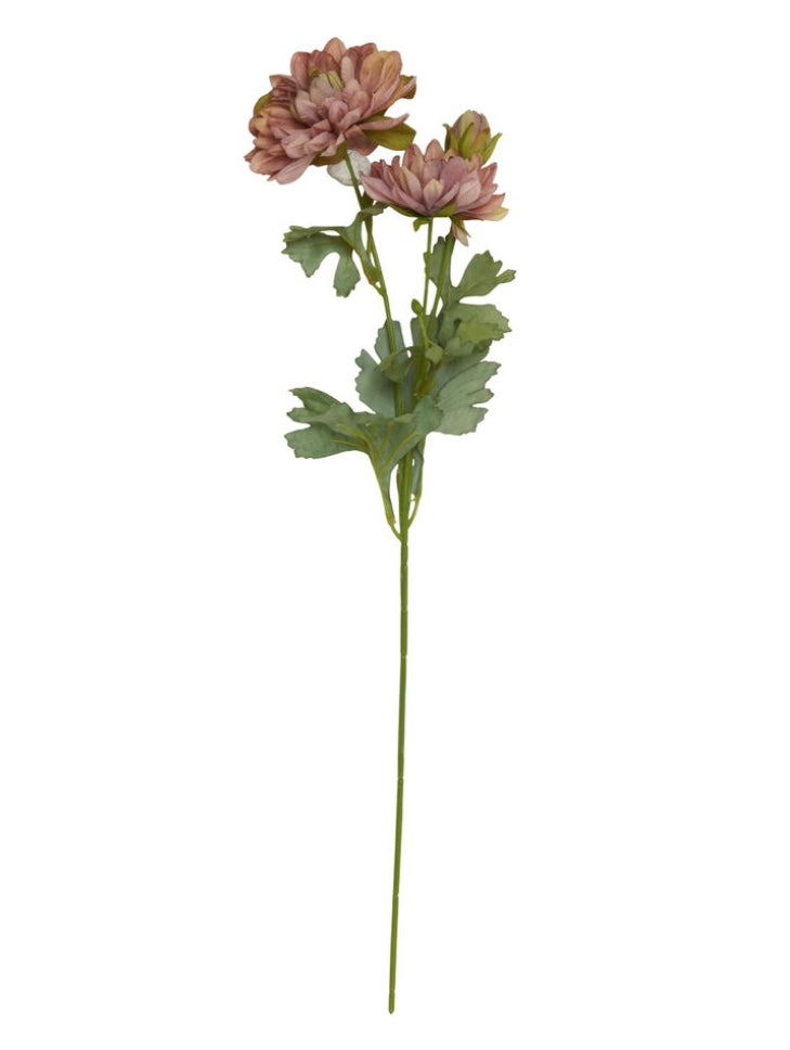 Georgine stilk / Nature / Stilk 53 cm