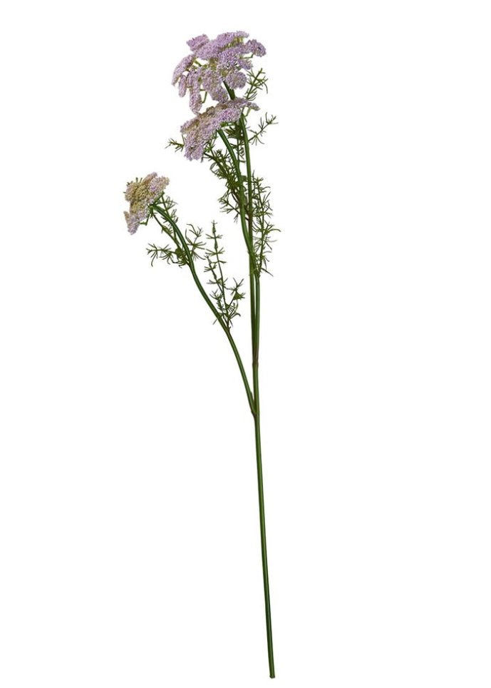 Vild gulerodstilk / Nature / Stilk 73 cm