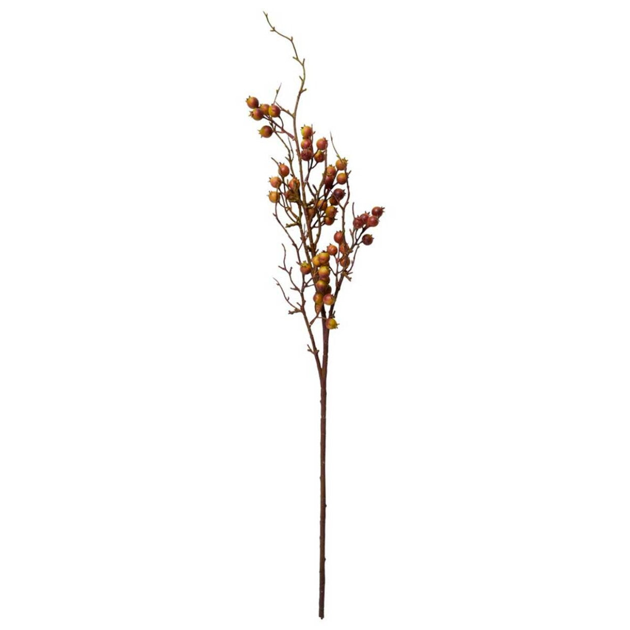 Bærgren / stilk 91 cm