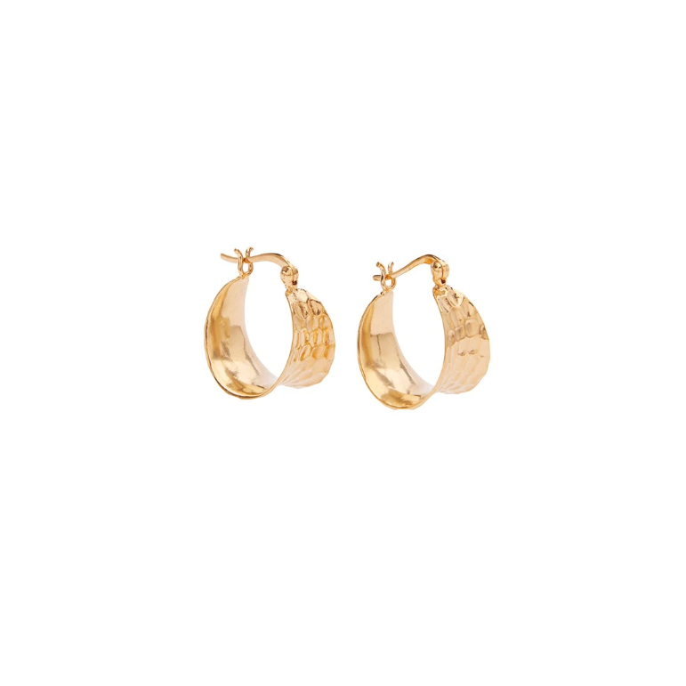 Cleo Petit Hoops