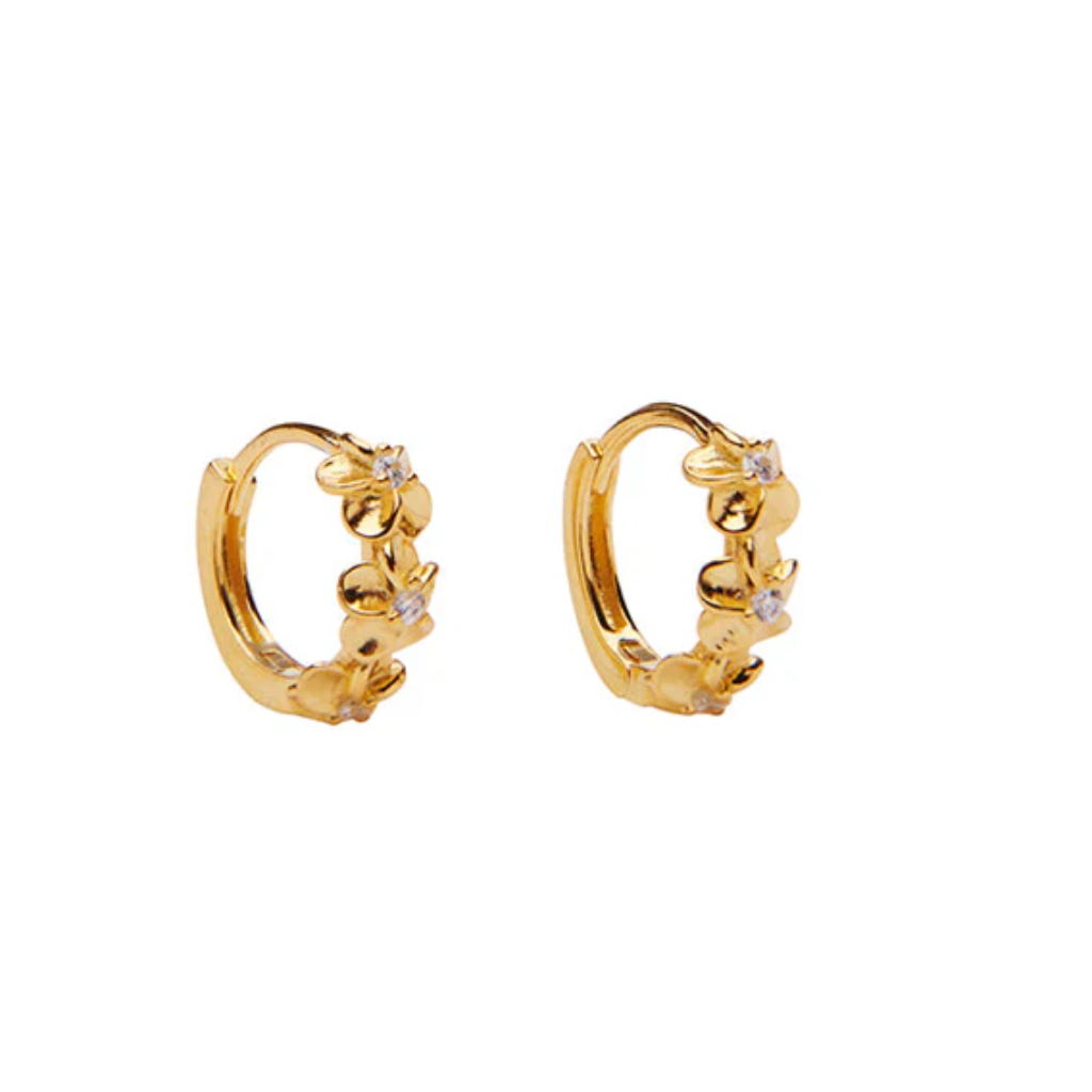 Aster Crystal hoops / Clear/FG
