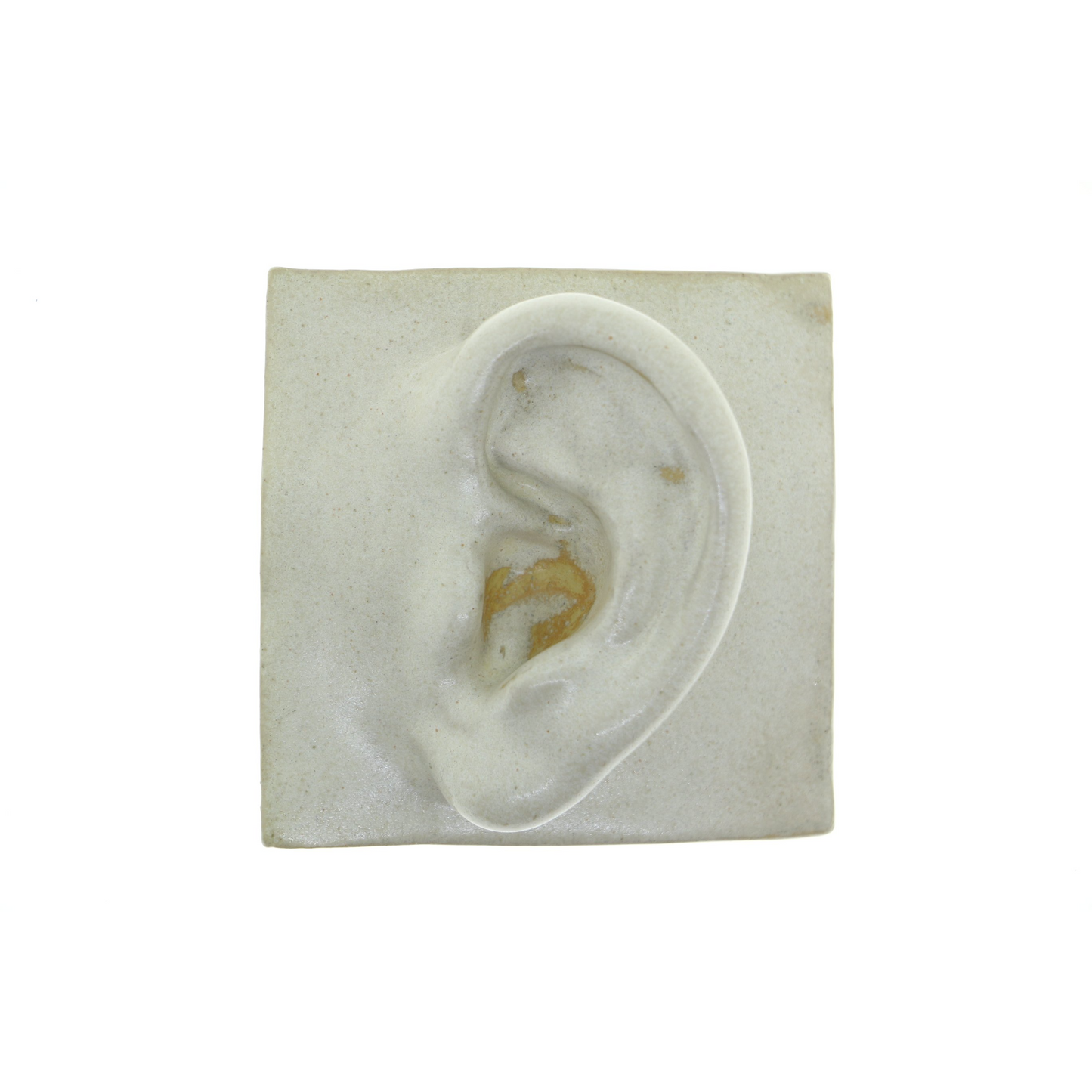 Square Ear / Left / Antique White
