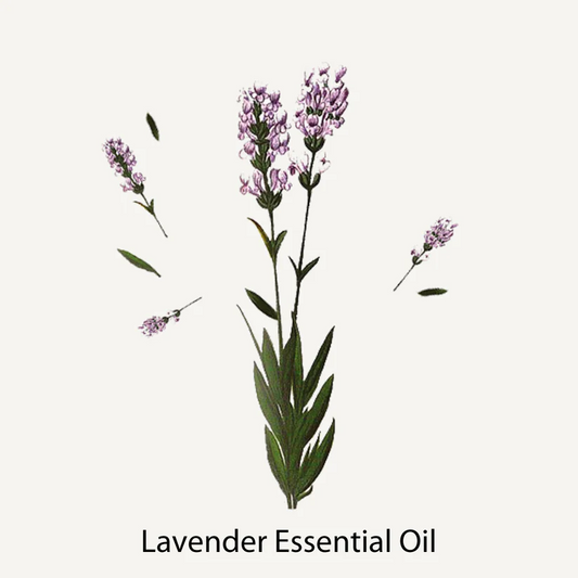 Marseille sæbe 500ml / Lavendel