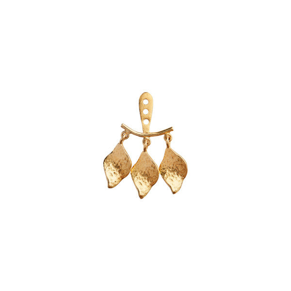 Dancing three ile de l'amour behind ear earring