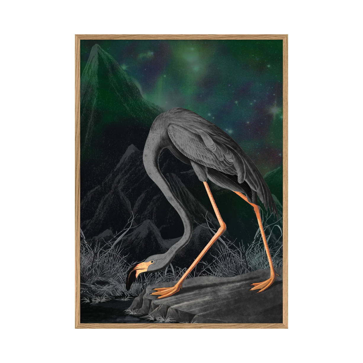 Black Flamingo 50 x 70 cm M. ramme