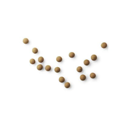 D - SALT & CARAMEL / 125 gram