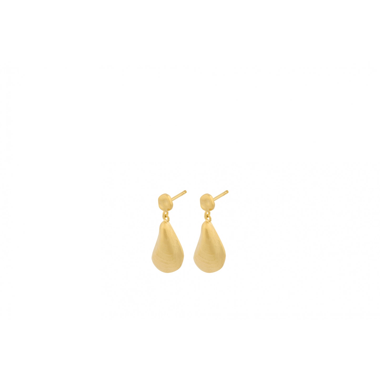 Seashell earsticks