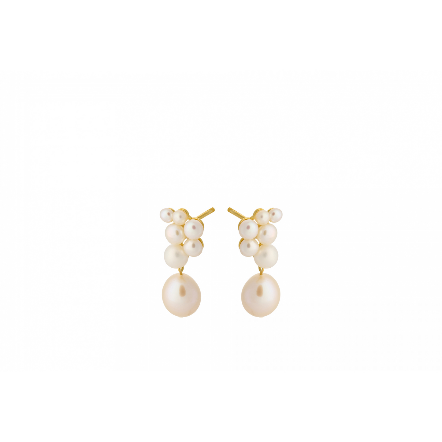 Ocean Treasure Earsticks