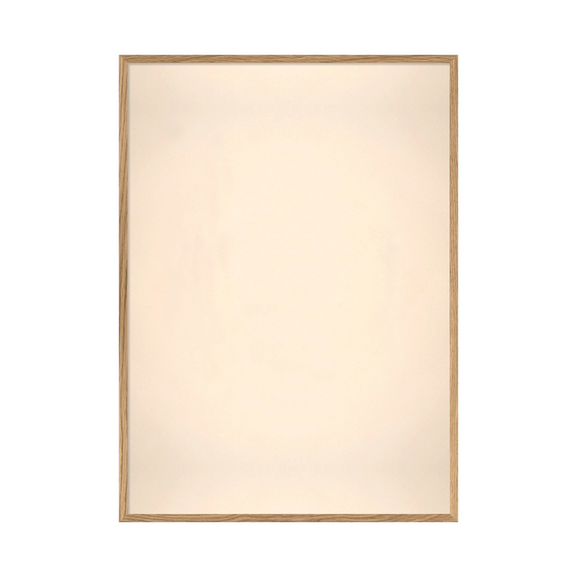 American White Pelicane 50 x 70 cm M. ramme