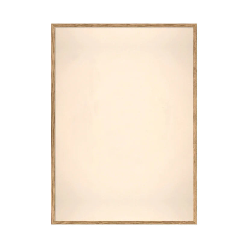 ANANAS ACULEATUS 50 x 70 cm M. ramme (Kun afhentning)