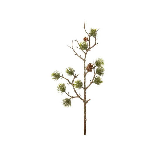 Grangren m/kogler / 35 cm