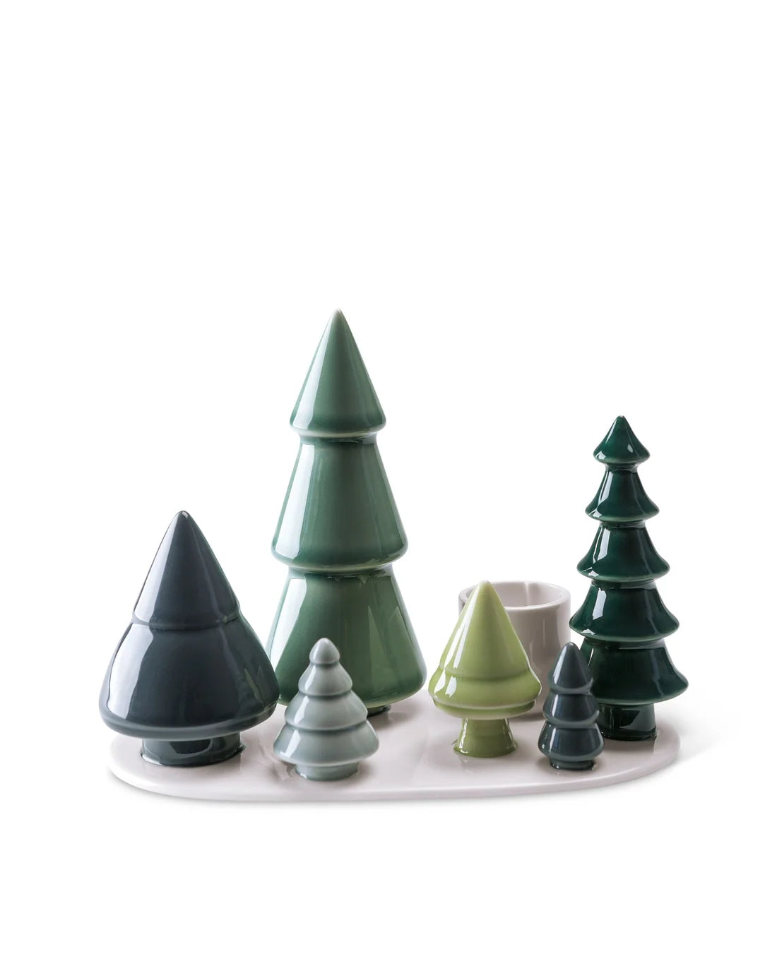 Winter Stories / Forest lysestage