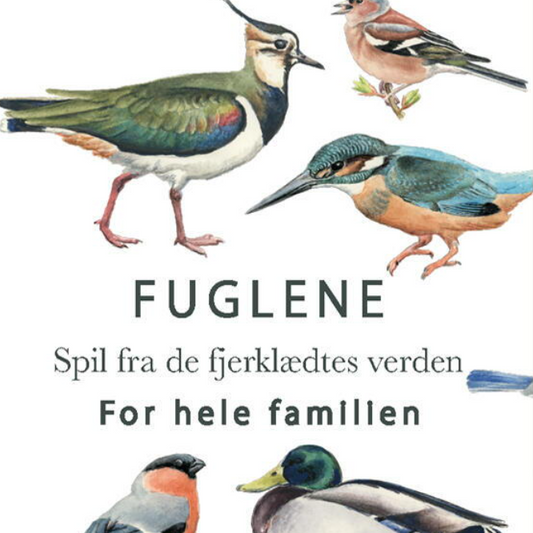 KORTSPIL / Fuglenes verden