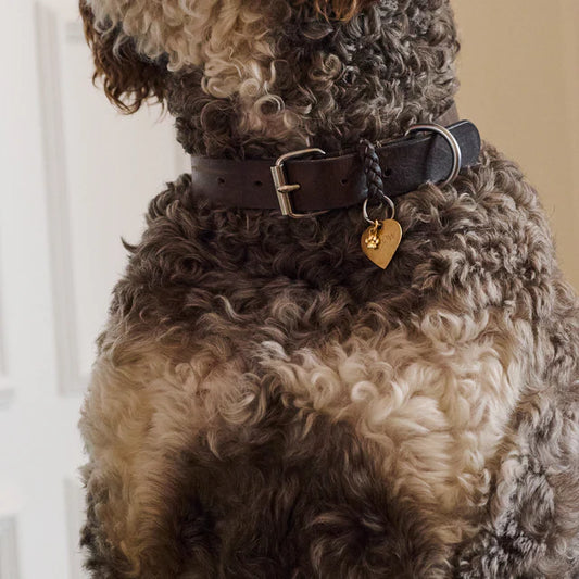 Charm, Sweet paw