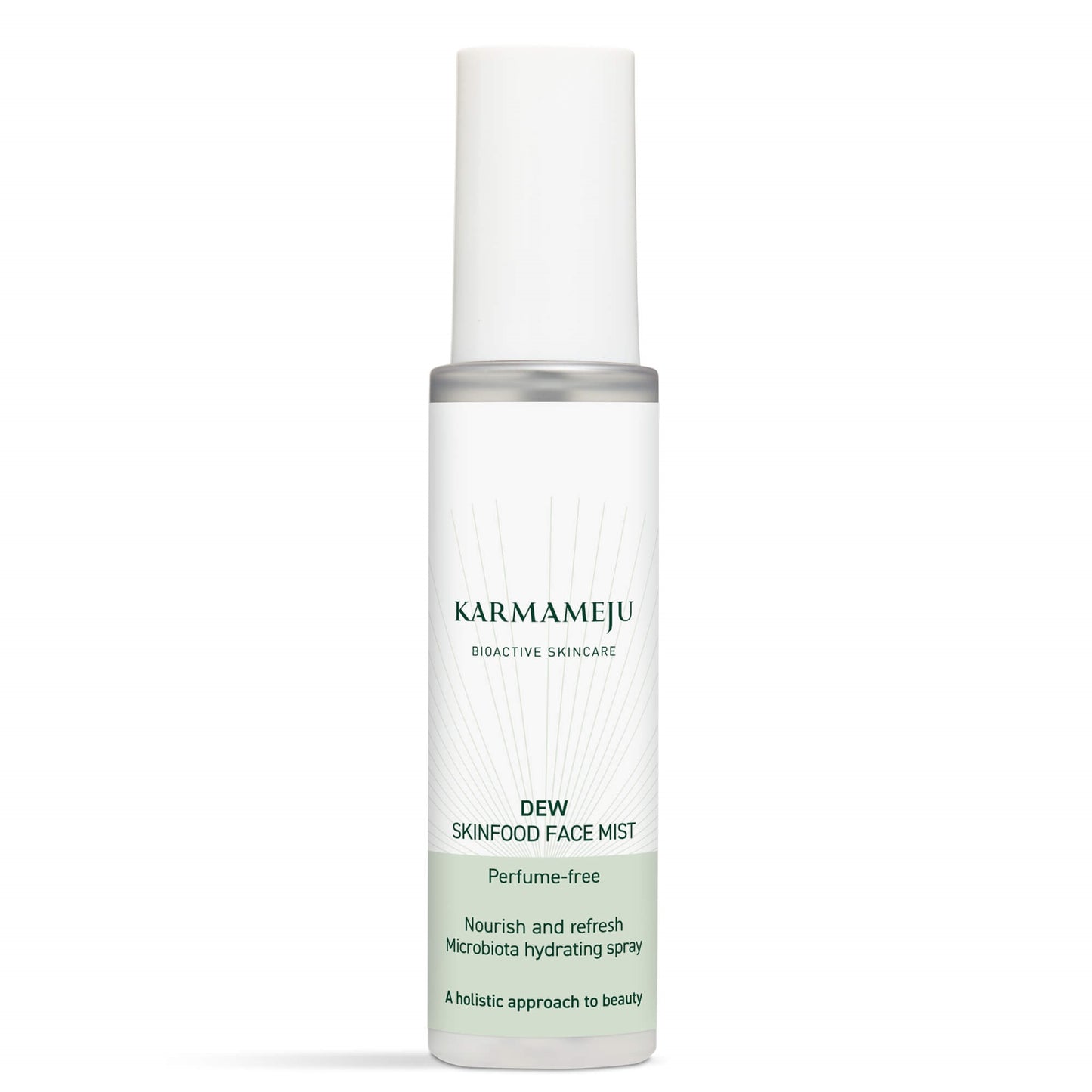 Dew / skinfood face mist