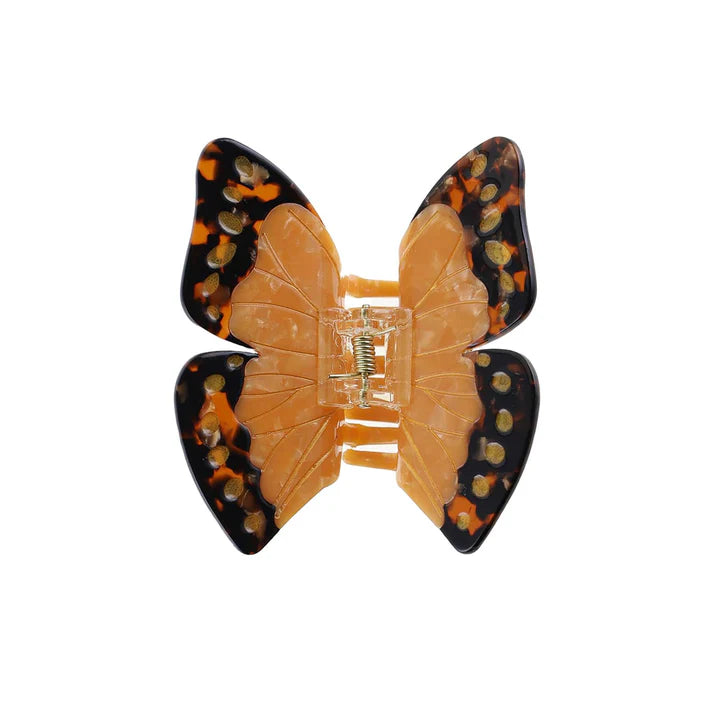 Morpho sommerfugl Hårklemme / brun