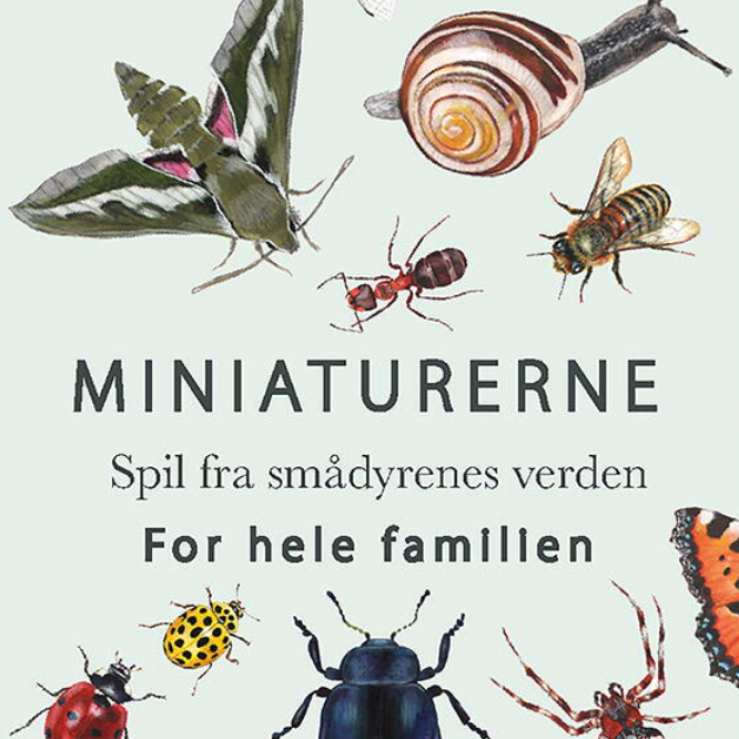 KORTSPIL / Smådyr og insekternes verden