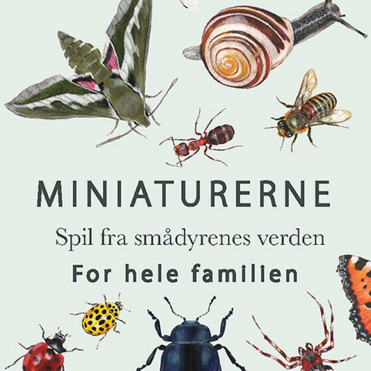 KORTSPIL / Smådyr og insekternes verden