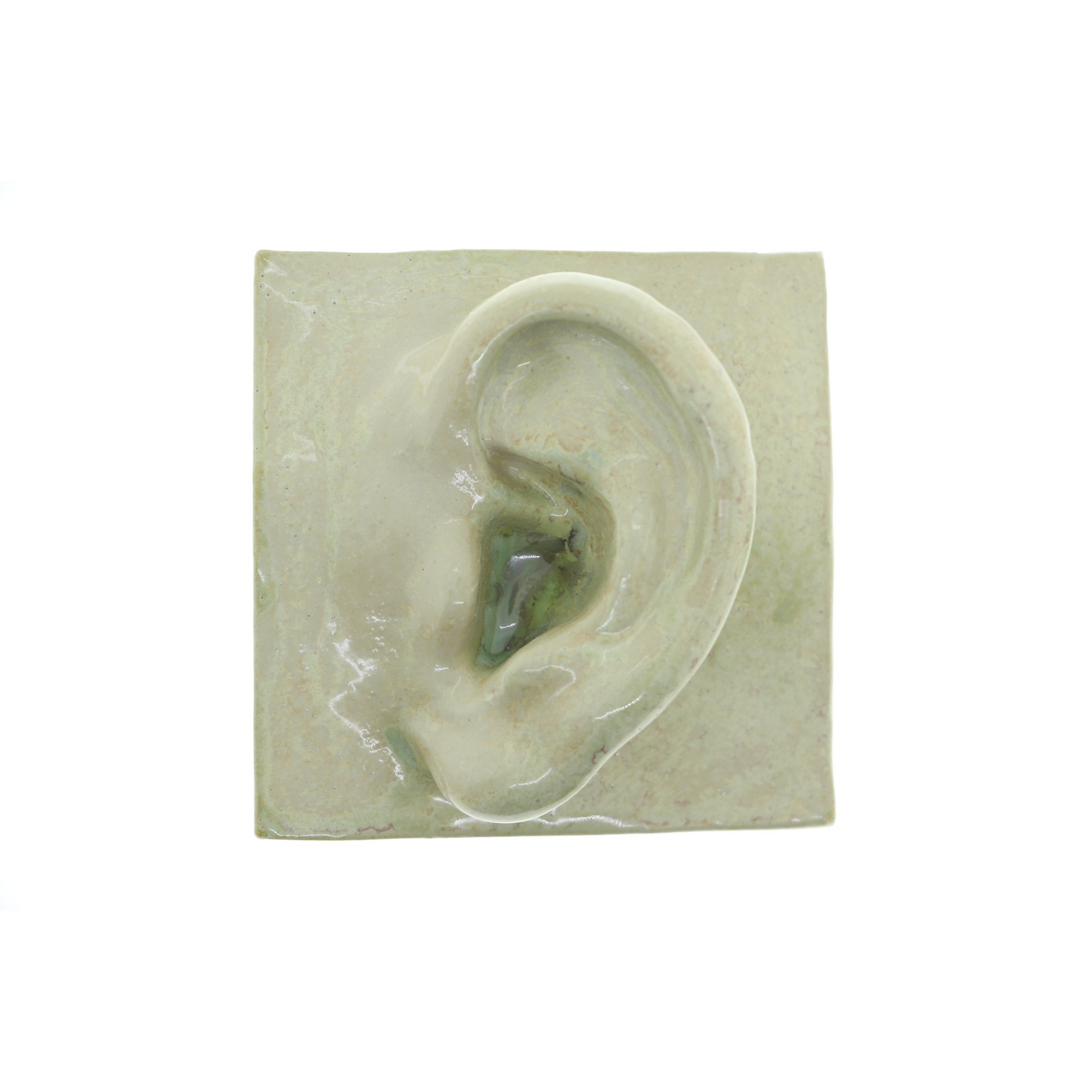 Square Ear / Left / Crystal Green.